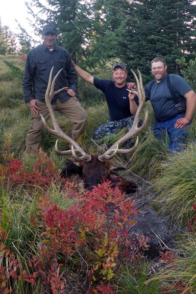 Idaho Elk Hunts by Selway Ridgerunners Outfitter